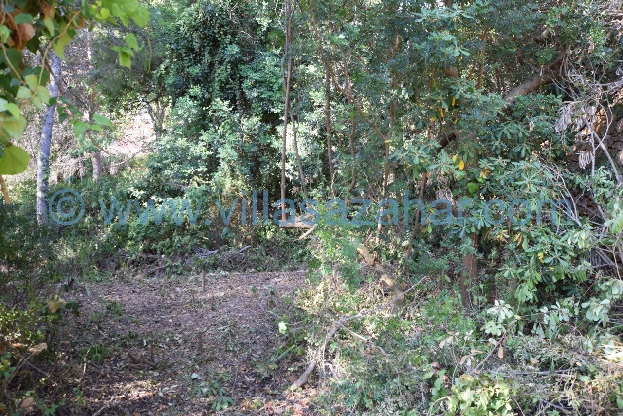 Baugrundstück im Herzen von Las Fuentes mit altem Baumbestand