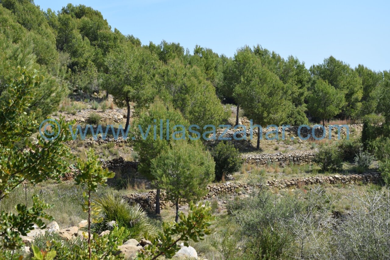 Parcelas con licencia de obra con vistas panorámicas al mar en venta